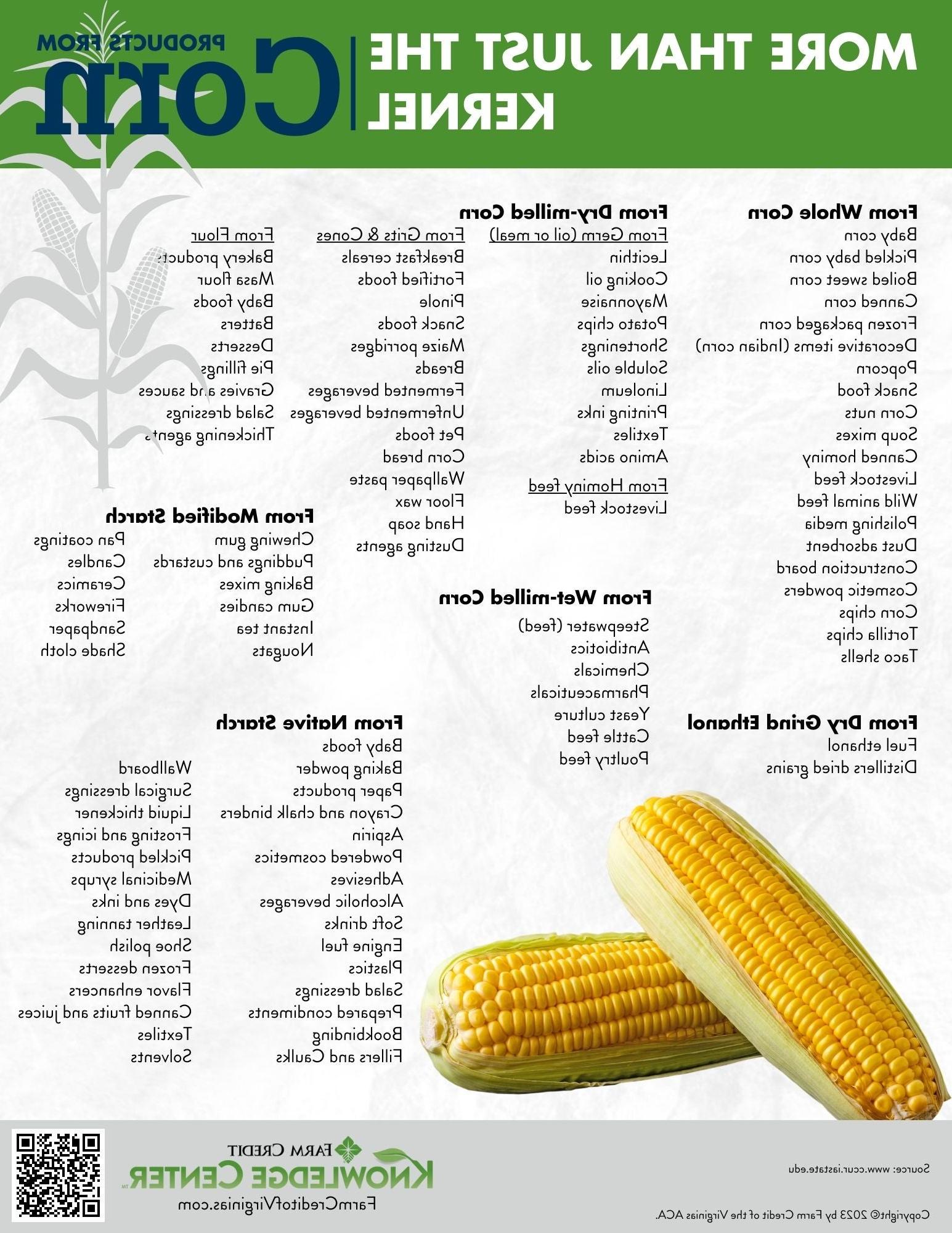 More than just the kernel products made from corn infographic
